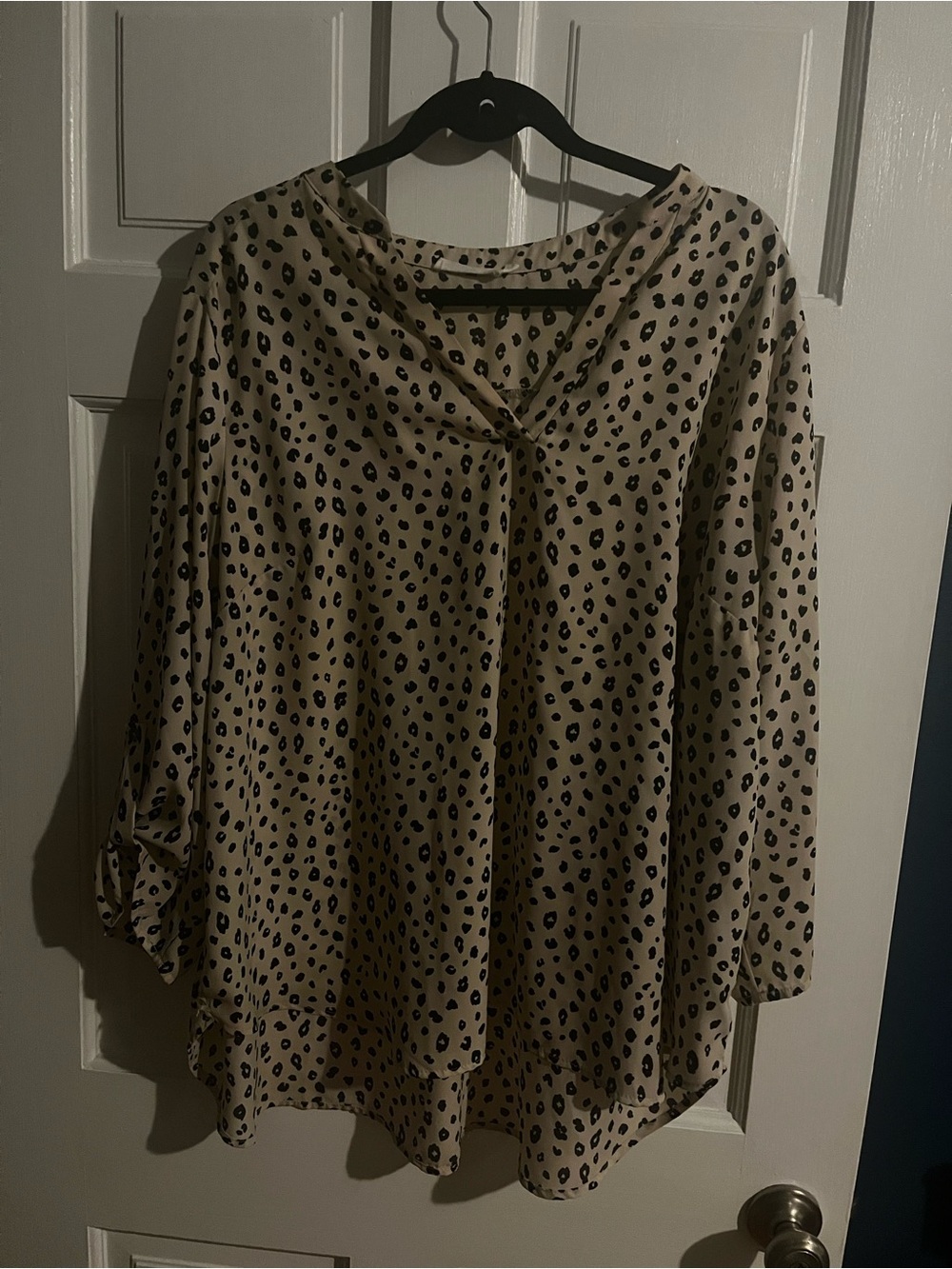 Women's Beige Black Leopard Print V-Neck Blouse